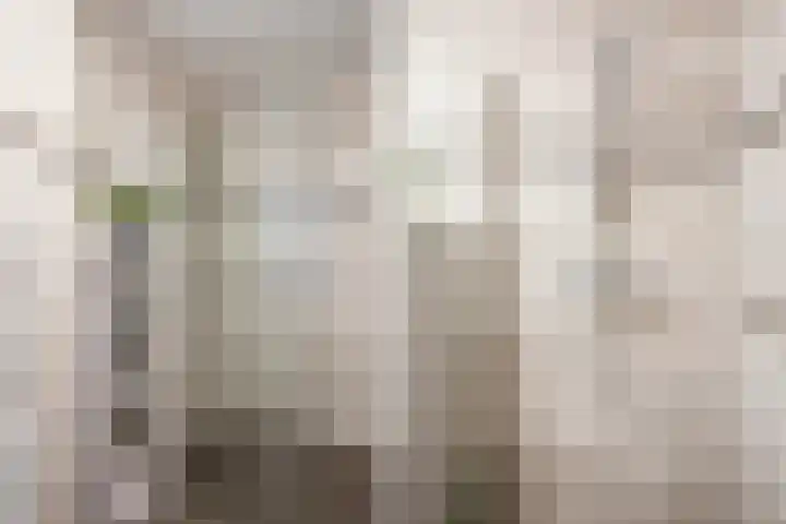 Dokter Van Haeringenplantsoen 6 02 Nieuw-Vennep thumbnail 26