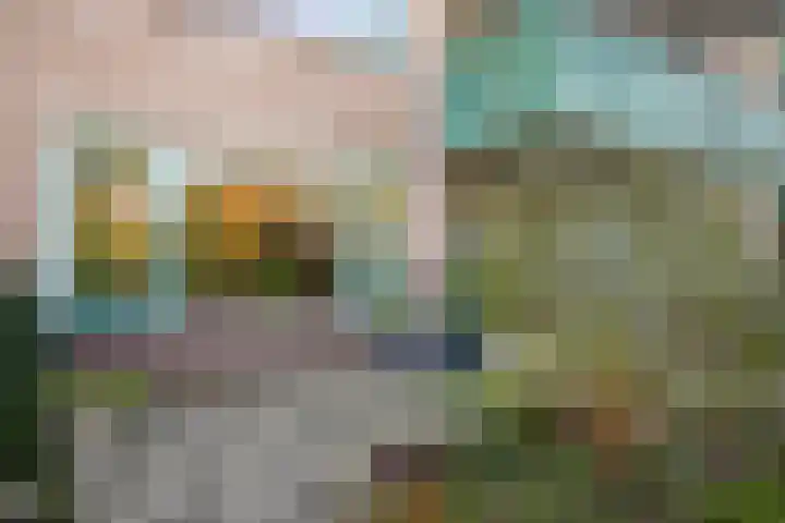 Dokter Van Haeringenplantsoen 6 02 Nieuw-Vennep thumbnail 32
