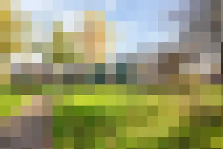 Dokter Van Haeringenplantsoen 6 02 Nieuw-Vennep thumbnail 35