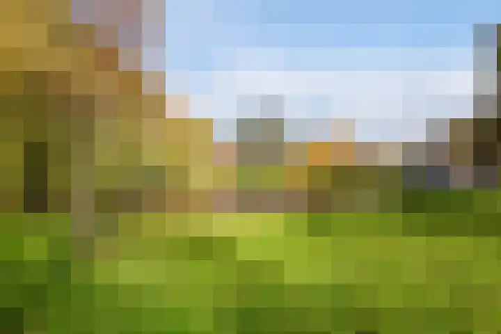 Dokter Van Haeringenplantsoen 6 02 Nieuw-Vennep thumbnail 37