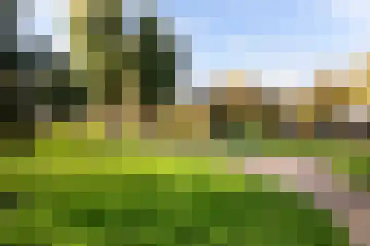 Dokter Van Haeringenplantsoen 6 02 Nieuw-Vennep thumbnail 38
