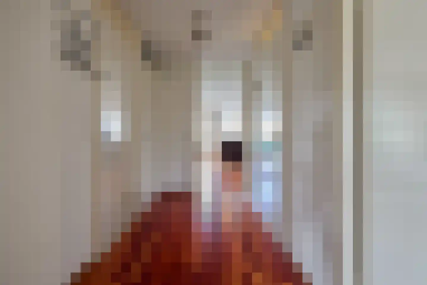 Dokter Van Haeringenplantsoen 6 22 Nieuw-Vennep thumbnail 18