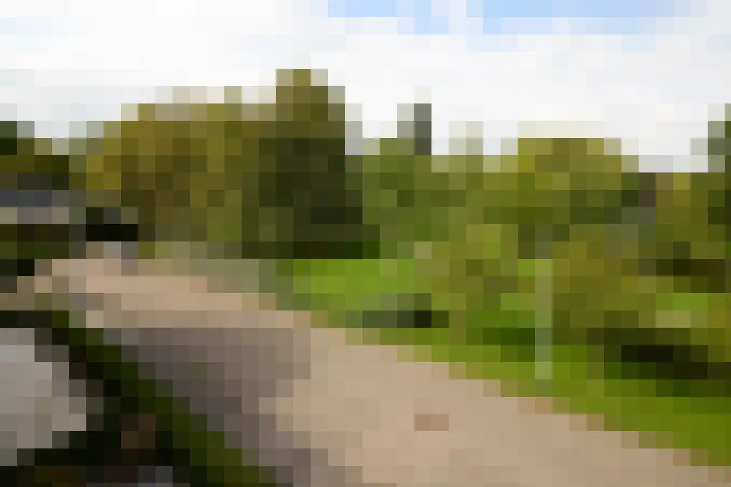 Dokter Van Haeringenplantsoen 6 22 Nieuw-Vennep thumbnail 42