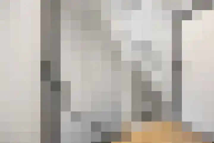 Dokter Van Hoeckelstraat 15 's-Hertogenbosch thumbnail 14