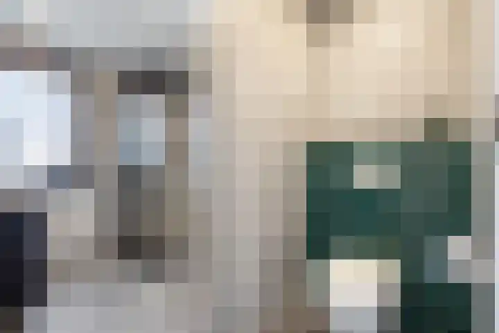 Dokter Van Hoeckelstraat 15 's-Hertogenbosch thumbnail 17