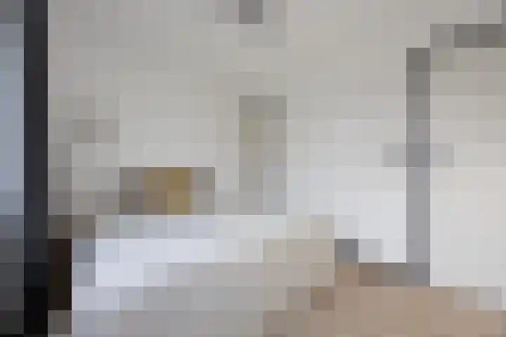 Dokter Van Hoeckelstraat 15 's-Hertogenbosch thumbnail 22