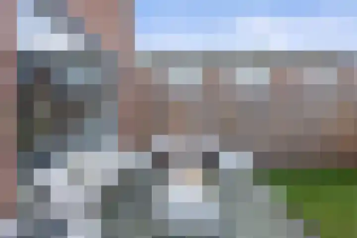 Dokter Van Hoeckelstraat 15 's-Hertogenbosch thumbnail 26