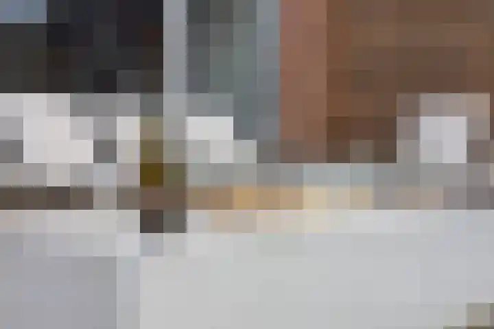 Dokter Van Hoeckelstraat 15 's-Hertogenbosch thumbnail 27