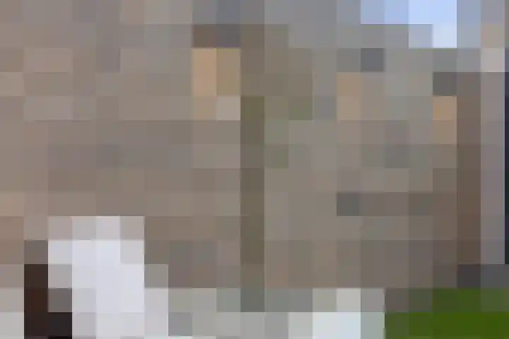 Dokter Van Hoeckelstraat 15 's-Hertogenbosch thumbnail 29