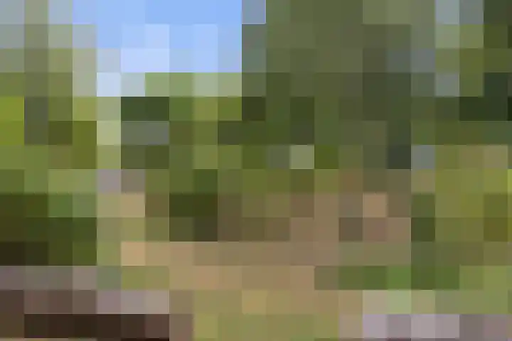 Dokter Van Hoeckelstraat 15 's-Hertogenbosch thumbnail 37