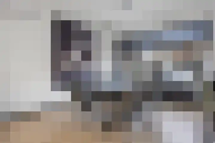 Dokter Van Hoeckelstraat 15 's-Hertogenbosch thumbnail 9