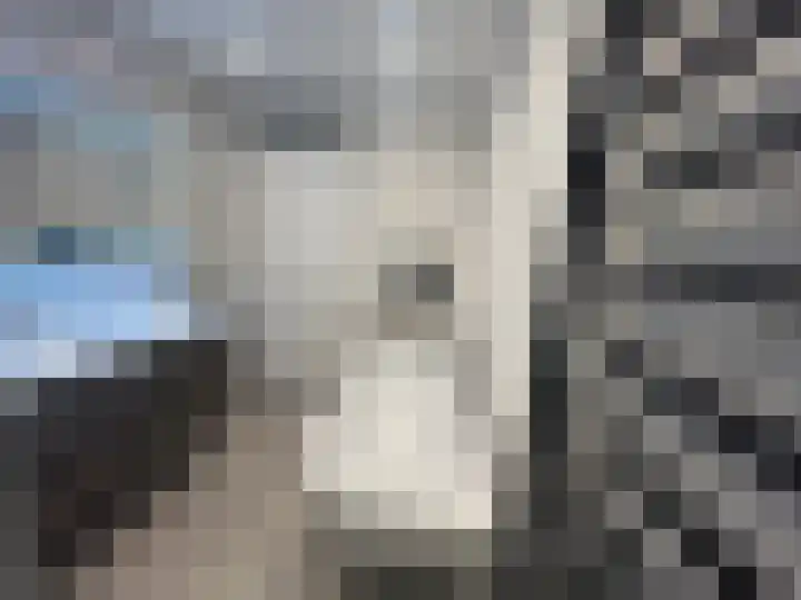 Dokter Van Ledestraat 108 Leidschendam thumbnail 25