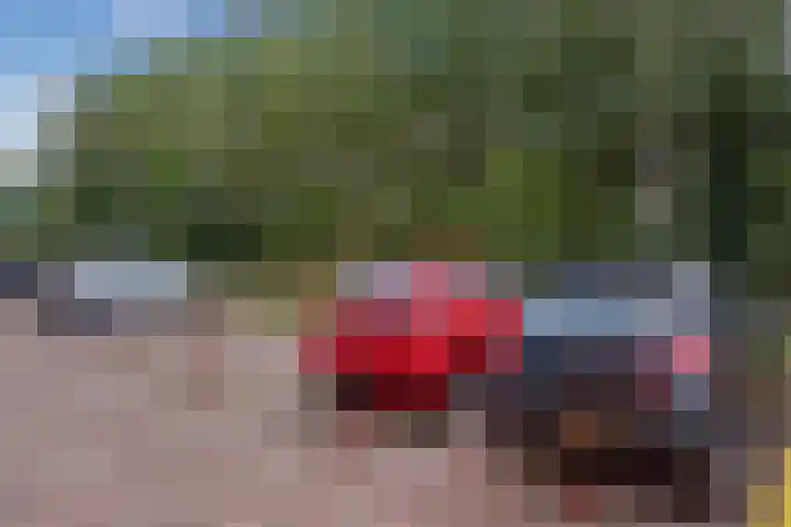 Dokter Van Ledestraat 108 Leidschendam thumbnail 27