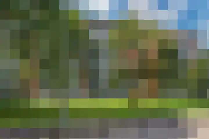 Dokter Van Ledestraat 108 Leidschendam thumbnail 4