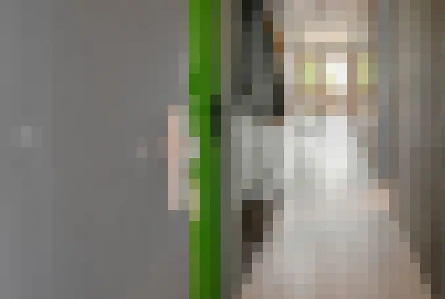 Dokter Van Ledestraat 136 Leidschendam thumbnail 27