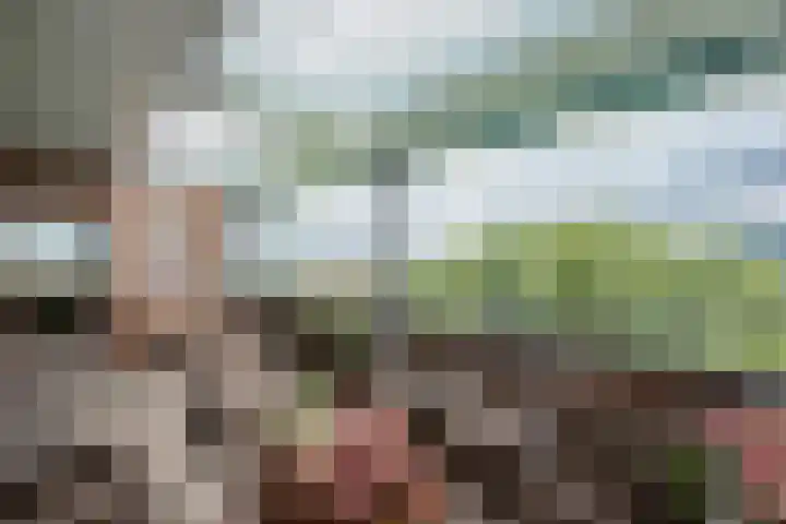 Dokter Van Ledestraat 137 Leidschendam thumbnail 24