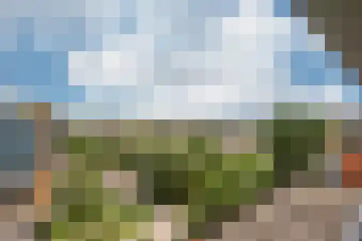 Dokter Van Ledestraat 137 Leidschendam thumbnail 4