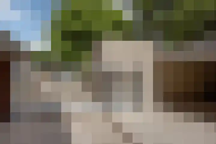 Dokter Van Ledestraat 137 Leidschendam thumbnail 40