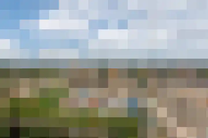 Dokter Van Ledestraat 137 Leidschendam thumbnail 6