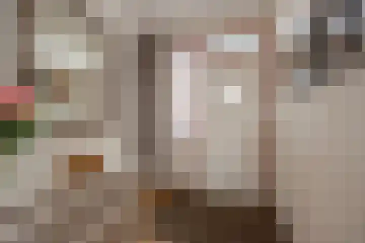 Dokter Van Ledestraat 137 Leidschendam thumbnail 9