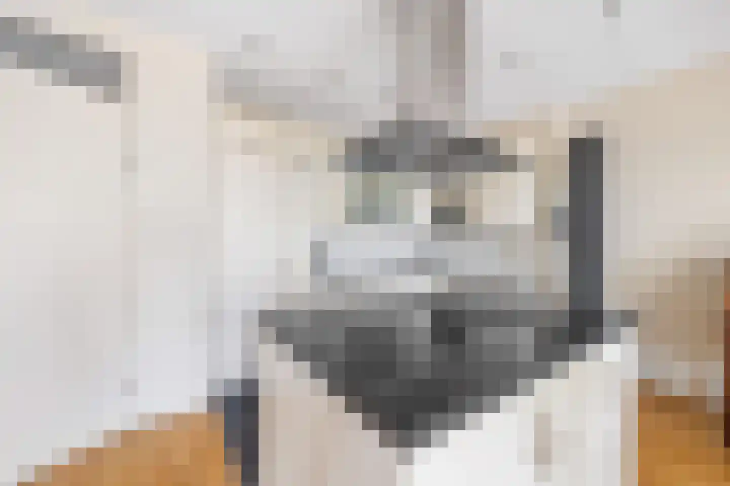 Dokter Van Ledestraat 23 Leidschendam thumbnail 13