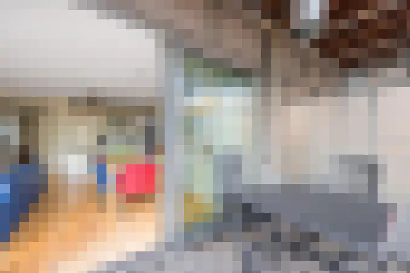 Dokter Van Ledestraat 23 Leidschendam thumbnail 17