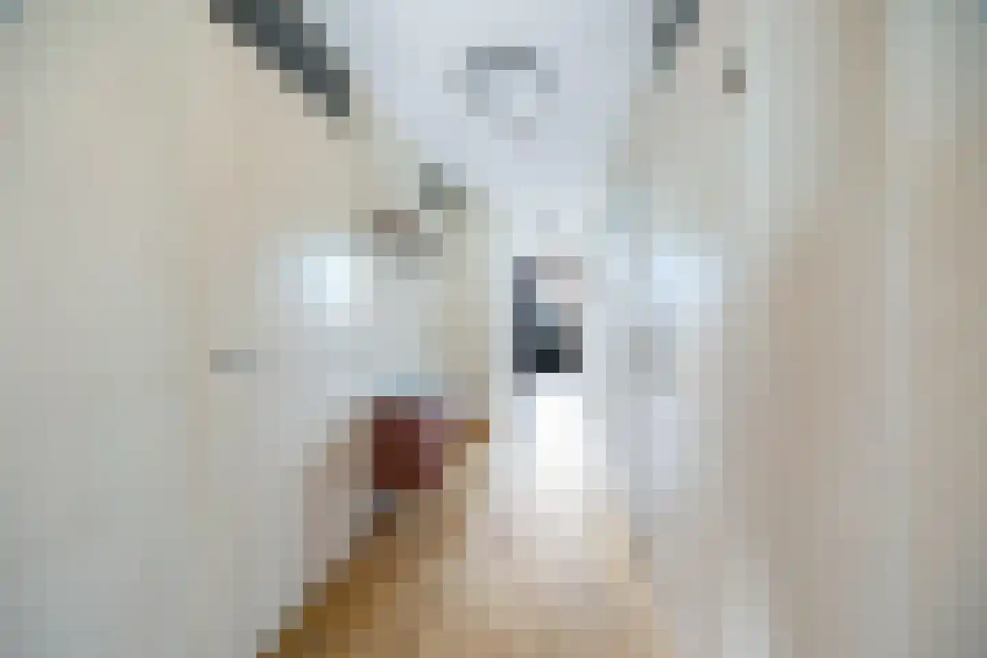 Dokter Van Ledestraat 23 Leidschendam thumbnail 18