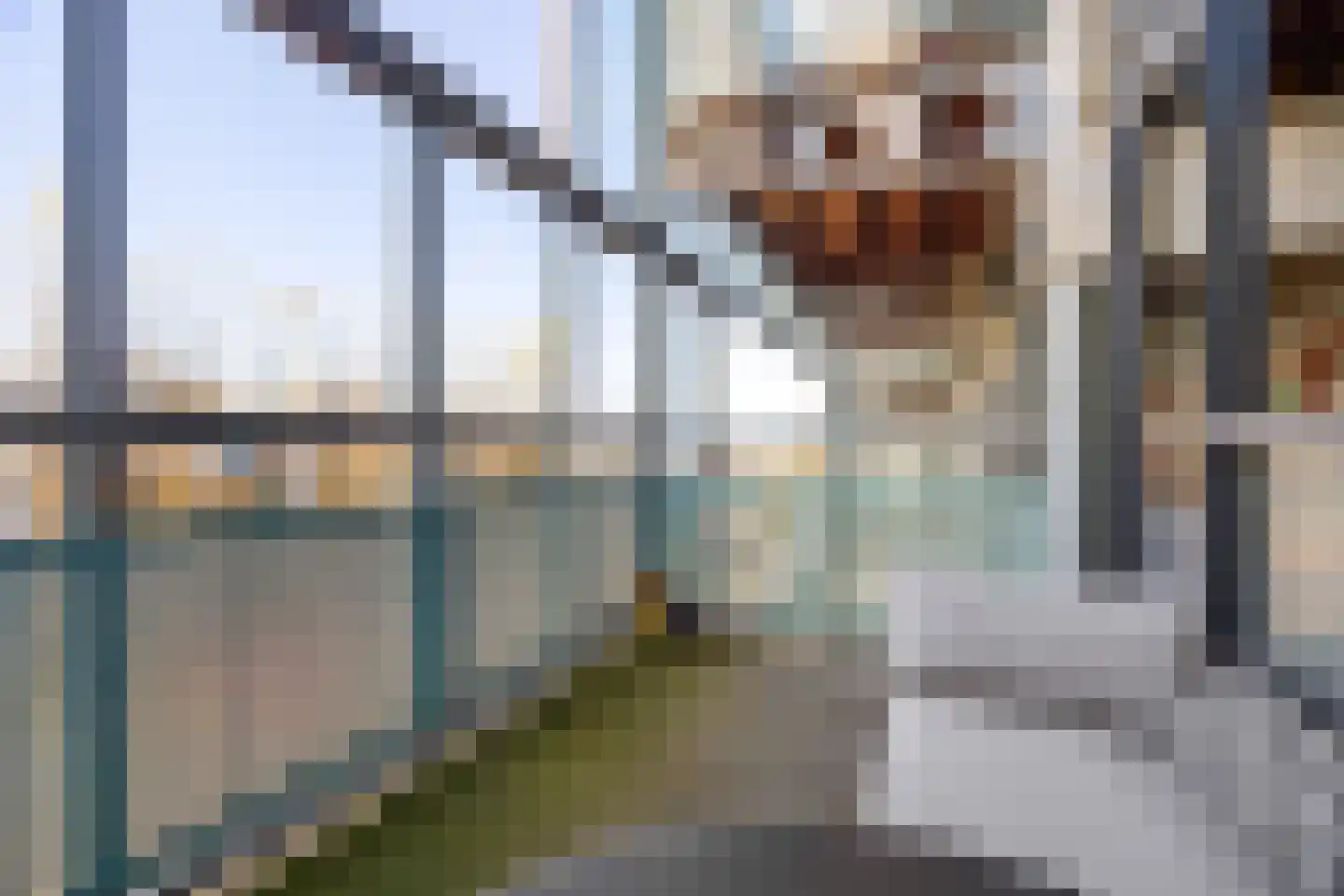 Dokter Van Ledestraat 23 Leidschendam thumbnail 26