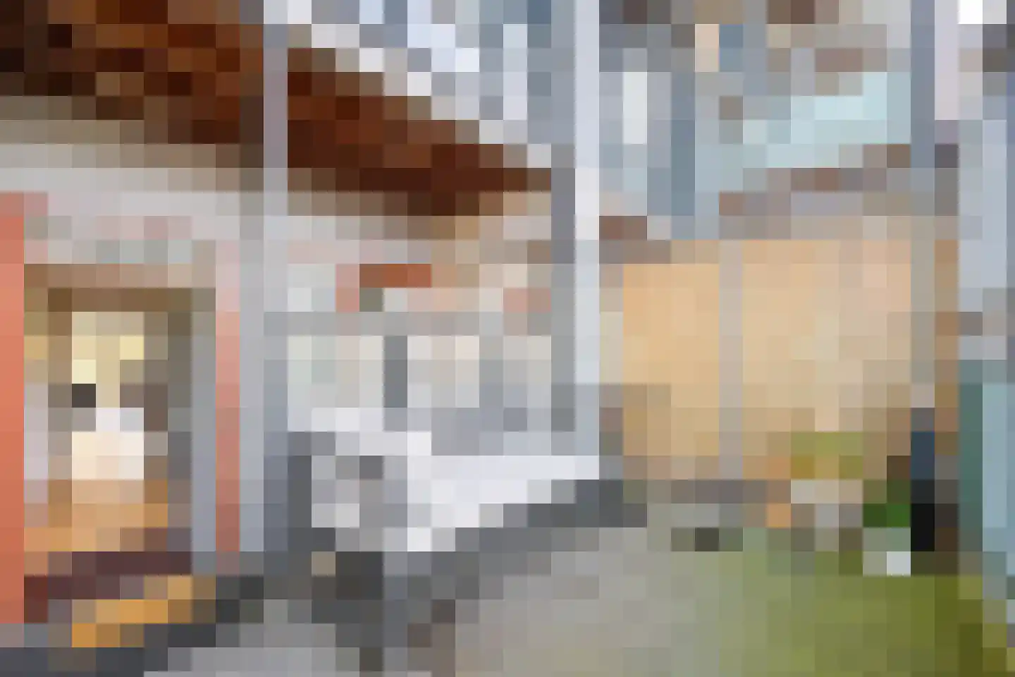Dokter Van Ledestraat 23 Leidschendam thumbnail 4