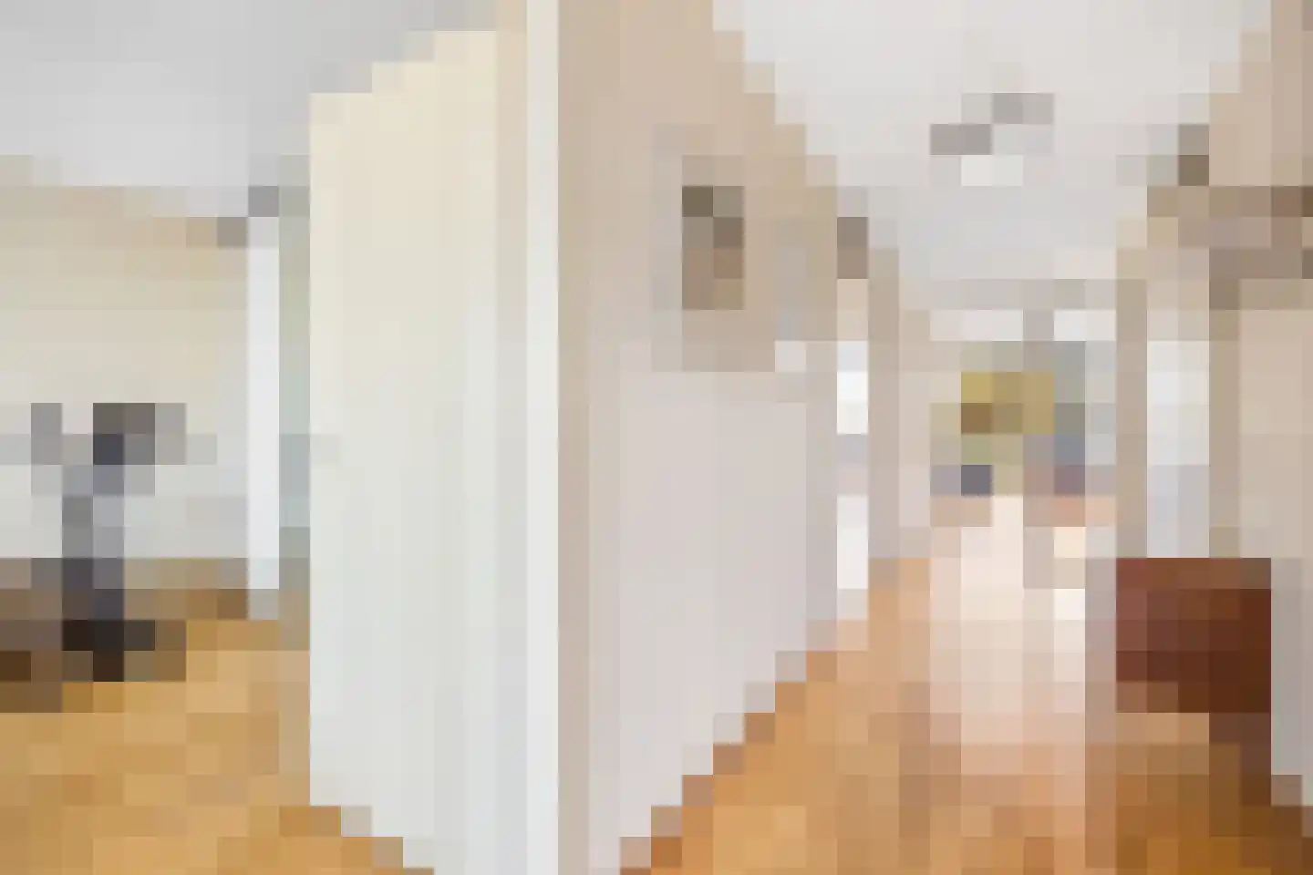 Dokter Van Ledestraat 23 Leidschendam thumbnail 9