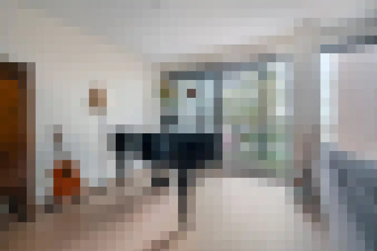 Dokter Van Ledestraat 25 Leidschendam thumbnail 10