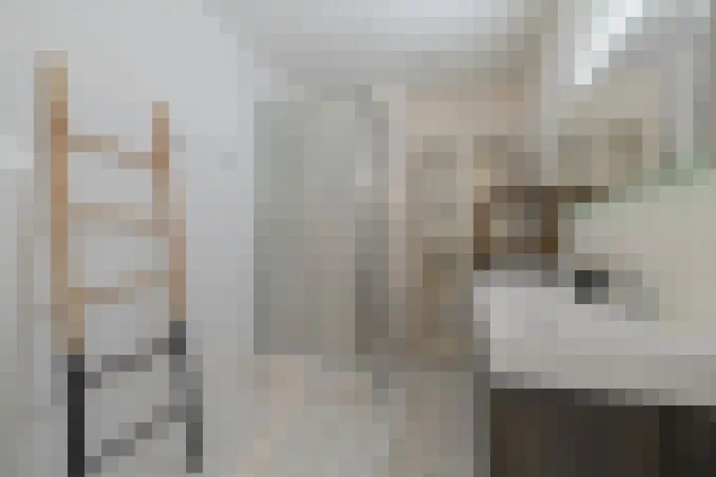 Dokter Van Ledestraat 25 Leidschendam thumbnail 19