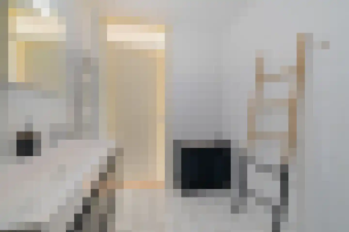 Dokter Van Ledestraat 25 Leidschendam thumbnail 21