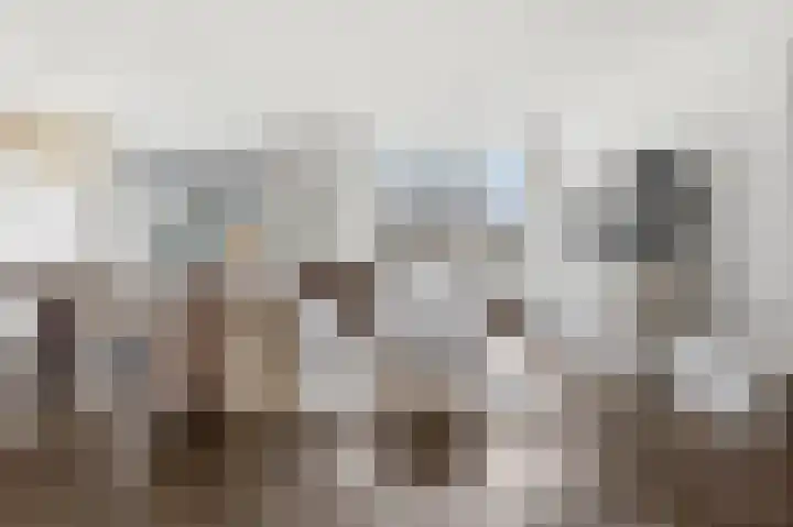 Dokter Van Ledestraat 28 Leidschendam thumbnail 11