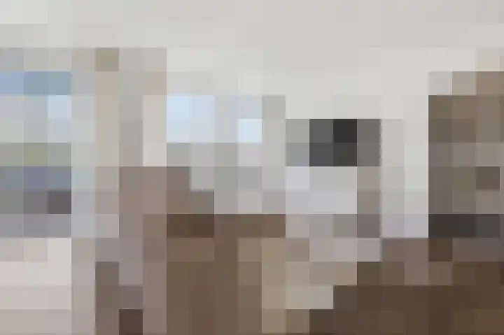 Dokter Van Ledestraat 28 Leidschendam thumbnail 12