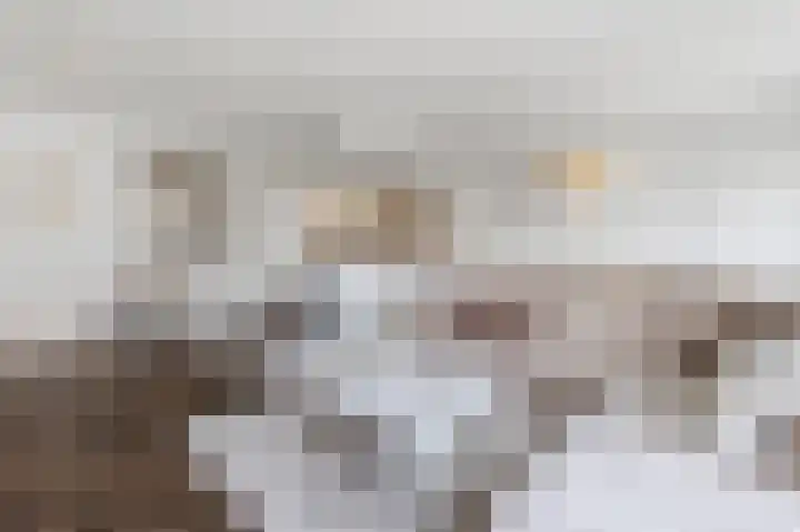 Dokter Van Ledestraat 28 Leidschendam thumbnail 13