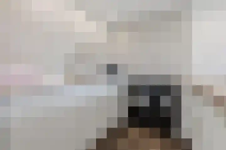 Dokter Van Ledestraat 28 Leidschendam thumbnail 17