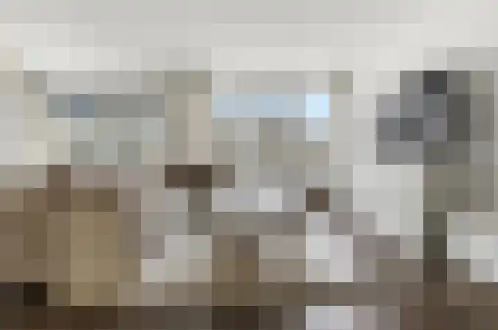 Dokter Van Ledestraat 28 Leidschendam thumbnail 22