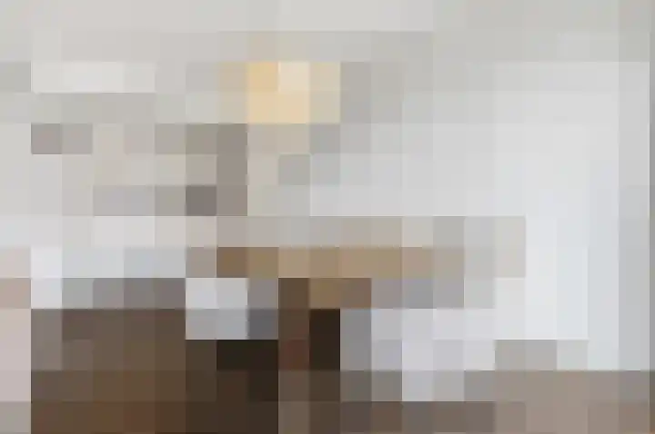 Dokter Van Ledestraat 28 Leidschendam thumbnail 28