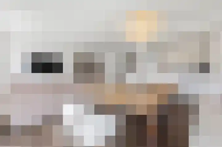 Dokter Van Ledestraat 28 Leidschendam thumbnail 29