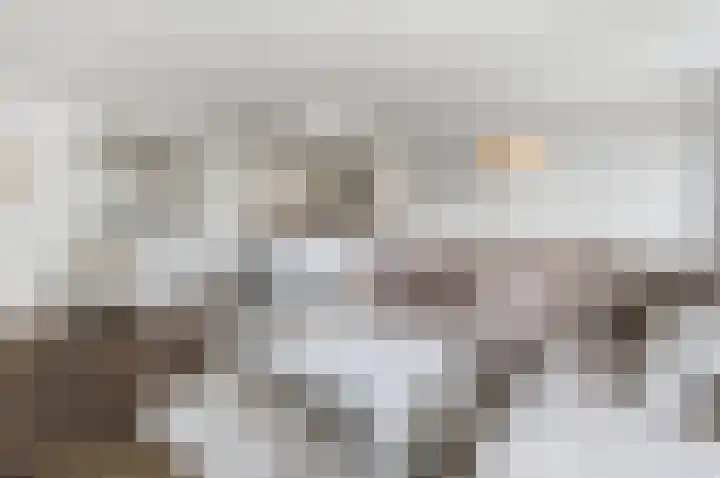 Dokter Van Ledestraat 28 Leidschendam thumbnail 30