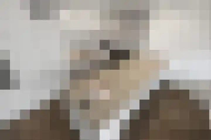 Dokter Van Ledestraat 28 Leidschendam thumbnail 32