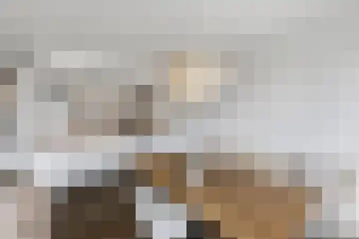 Dokter Van Ledestraat 28 Leidschendam thumbnail 33