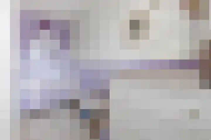 Dokter Van Ledestraat 28 Leidschendam thumbnail 34