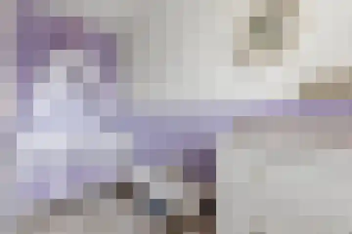 Dokter Van Ledestraat 28 Leidschendam thumbnail 39