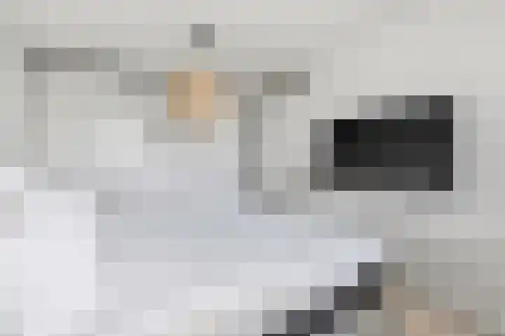 Dokter Van Ledestraat 28 Leidschendam thumbnail 40