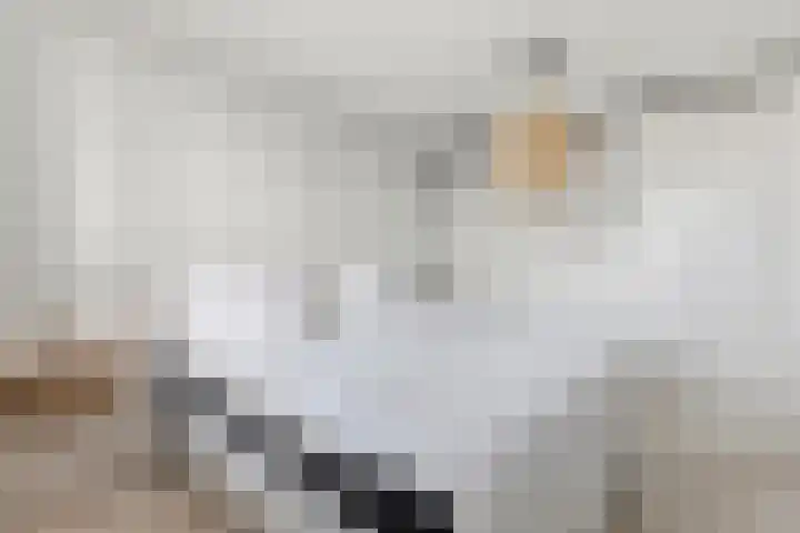 Dokter Van Ledestraat 28 Leidschendam thumbnail 41