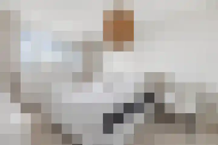 Dokter Van Ledestraat 28 Leidschendam thumbnail 42