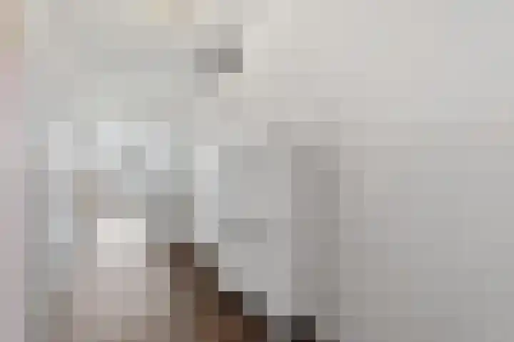 Dokter Van Ledestraat 28 Leidschendam thumbnail 44