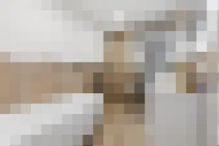 Dokter Van Ledestraat 28 Leidschendam thumbnail 47